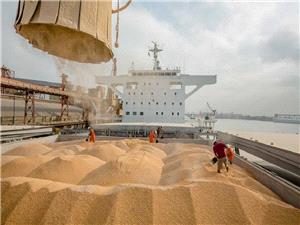 نهاده های فروخته شده گران نمی شود