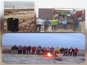 کاشت 800 اصله نهال گلداني آتريپلکس در نيشابور