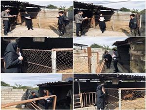 بازديد از دامداري متقاضي تسهيلات مشاغل خانگي در قائمشهر