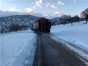 772 کيلومترباند از جادههاي ايلام برفروبي شد/ رفتوآمد در تمامي مسيرها جريان دارد