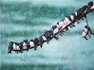 کاهش دما در شمالغرب و آرامش نسبی جوی در نیمه غربی کشور