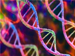 چطور ژنها طول عمر ما را رقم میزنند؟