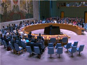 گروه عرب و سازمان همکاری اسلامی خواستار نشست فوری شورای امنیت شدند