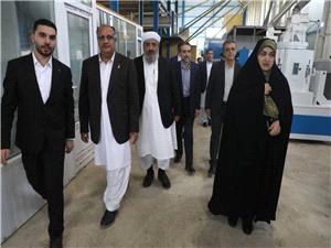 فرآوري و بستهبندي برنج باعث ايجاد ارزش افزوده در داخل کشور مي شود