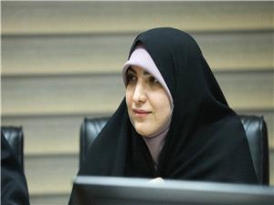 تحقیق و تفحص مجلس از قشم ایر بررسی می شود