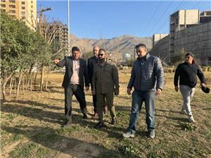 اجراي طرح يکپارچه زيباسازي نوروزي ميادين اصلي در منطقه 22