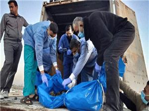 ماجرای بزرگترین بانک پوست جهان در رژیم اسرائیل چیست؟