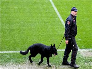 کیف روضت إیطالیا جنون مدرجاتها فی السبعینیات؟