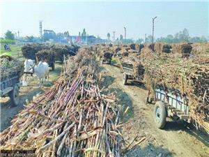 Nepal clears way for E10 petrol blend, eyes US$41mil yearly savings