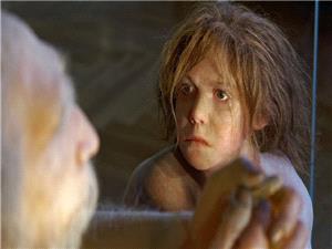 فرضیه جدیده حول انقراض إنسان نیاندرتال!