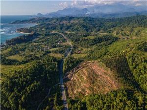 Indonesian government’s plan to recruit 70,000 forest rangers criticised