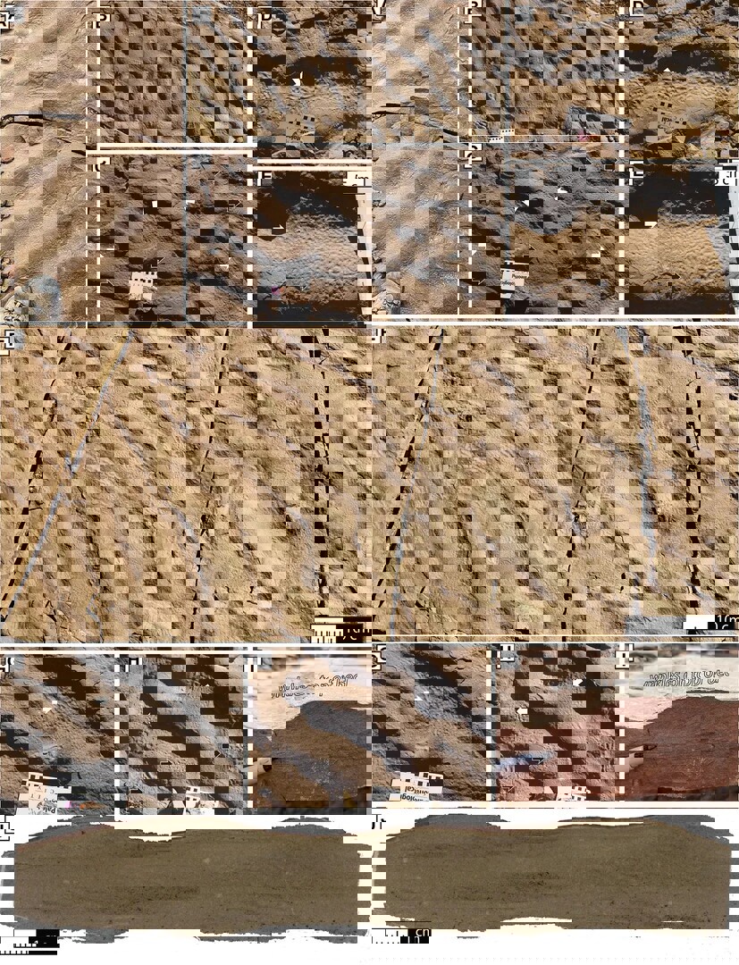 وکاله آریا للأنباء