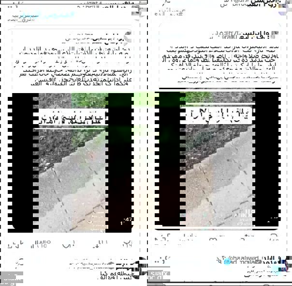 وکاله آریا للأنباء