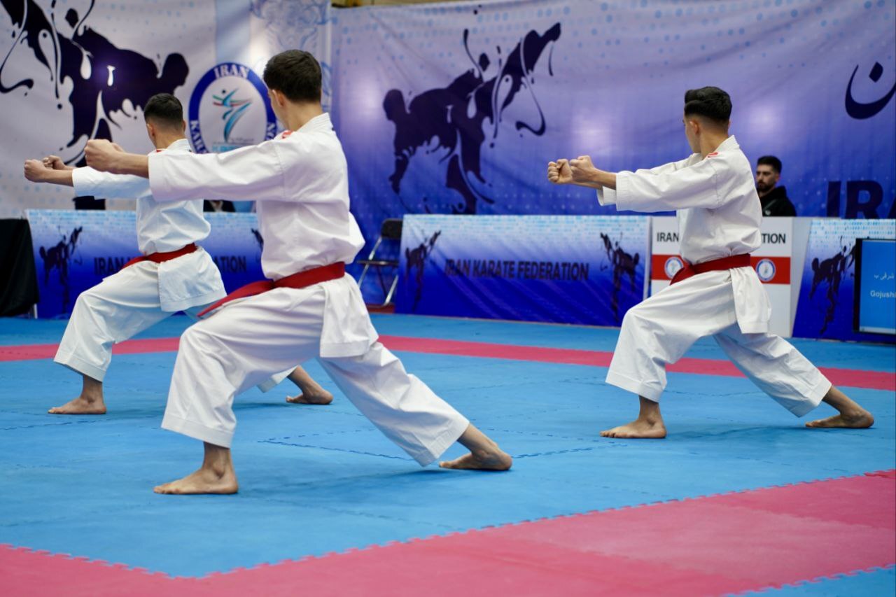 خبرگزاری آریا