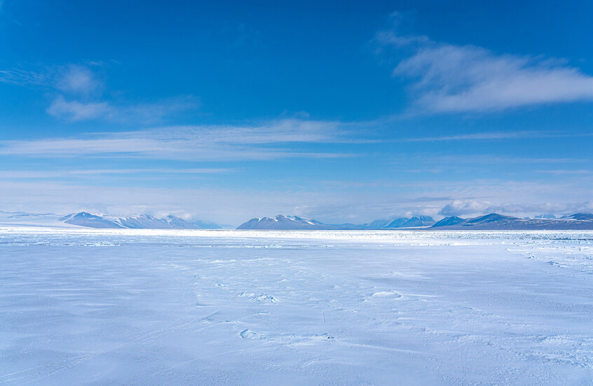 وکاله آریا للأنباء