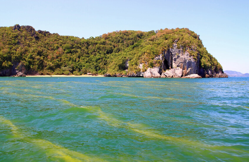 وکاله آریا للأنباء