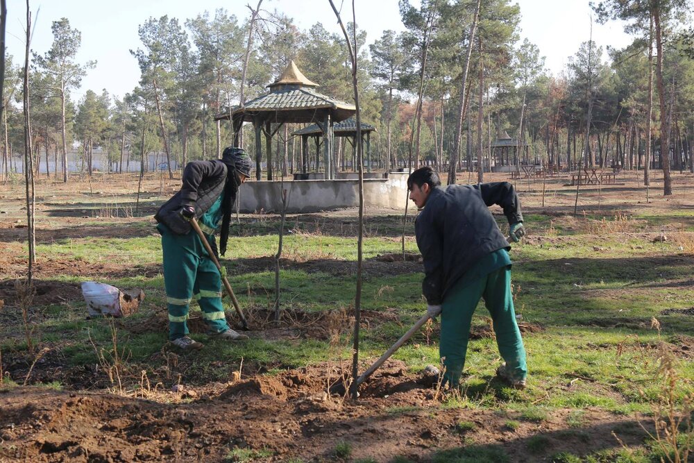 خبرگزاری آریا