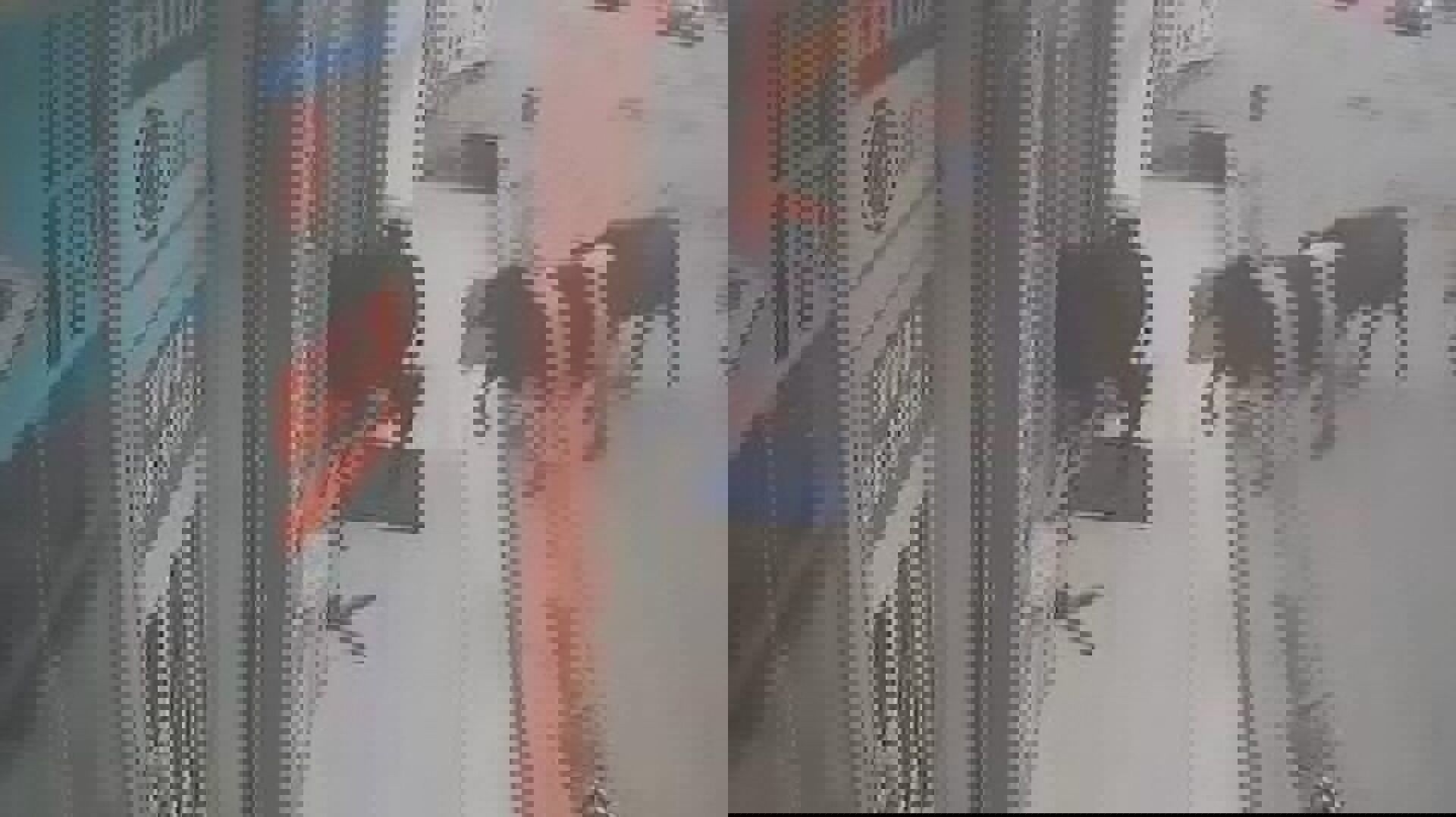 وکاله آریا للأنباء