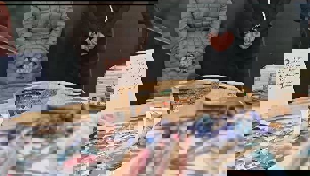 وکاله آریا للأنباء