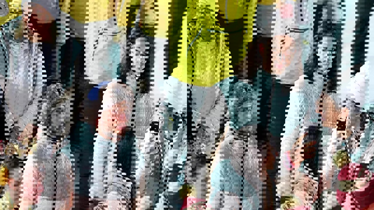 وکاله آریا للأنباء