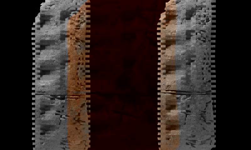 وکاله آریا للأنباء