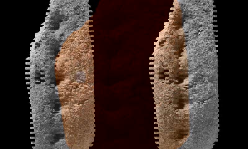 وکاله آریا للأنباء