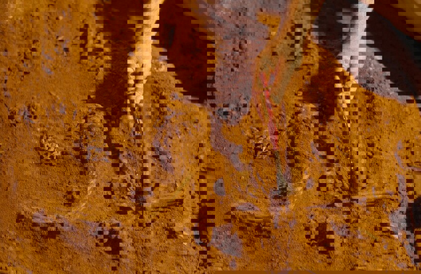 وکاله آریا للأنباء