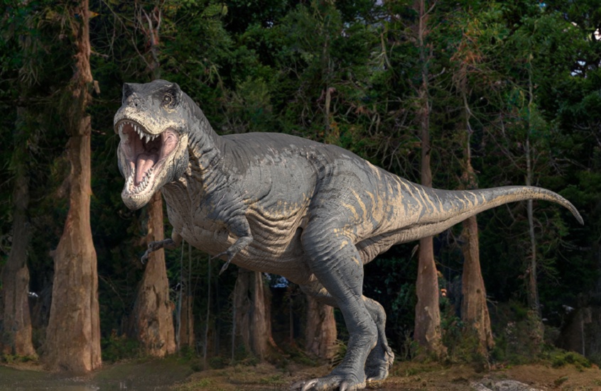 وکاله آریا للأنباء