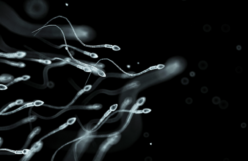 وکاله آریا للأنباء