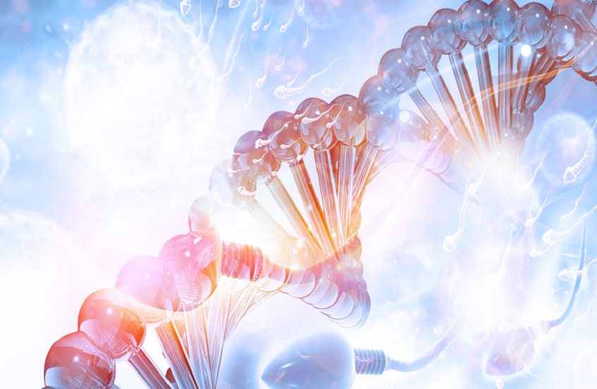 وکاله آریا للأنباء