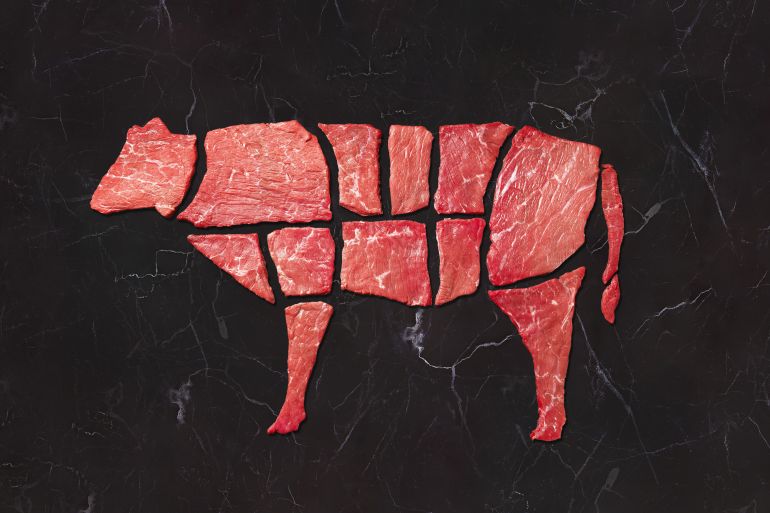 وکاله آریا للأنباء