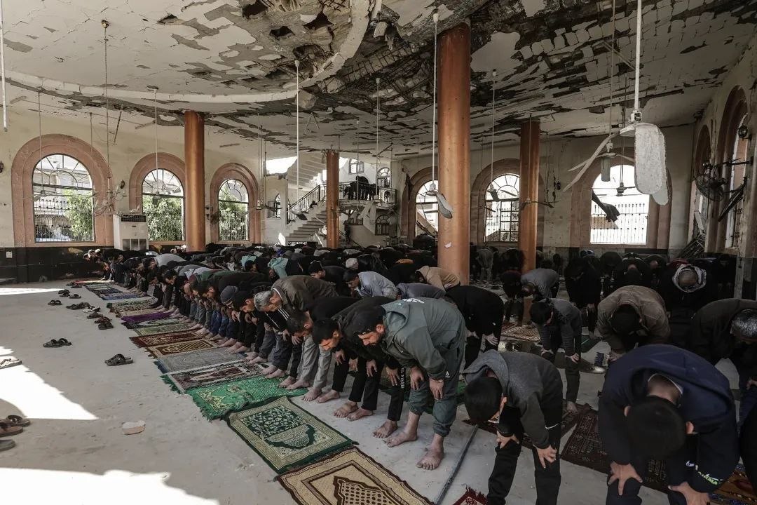 وکاله آریا للأنباء