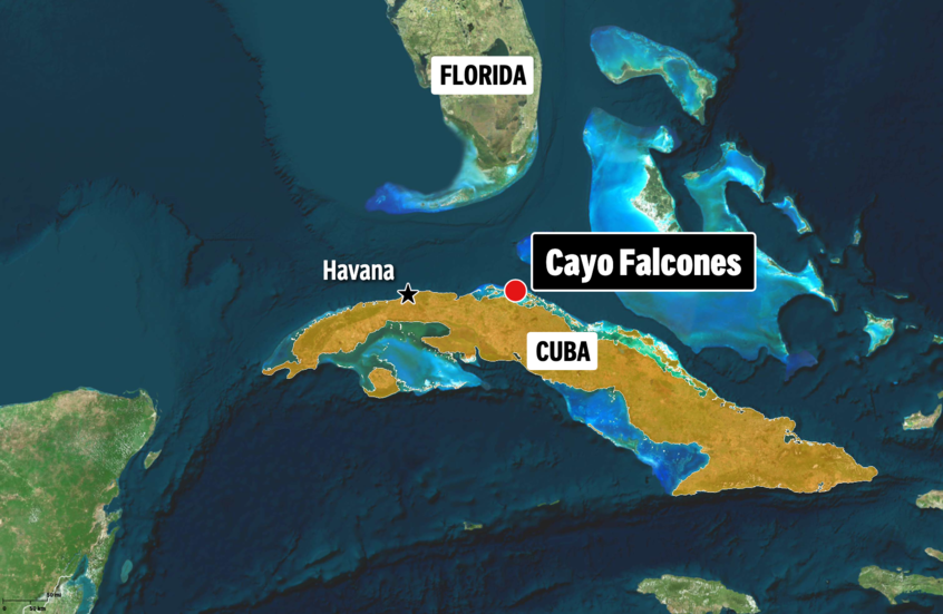 وکاله آریا للأنباء